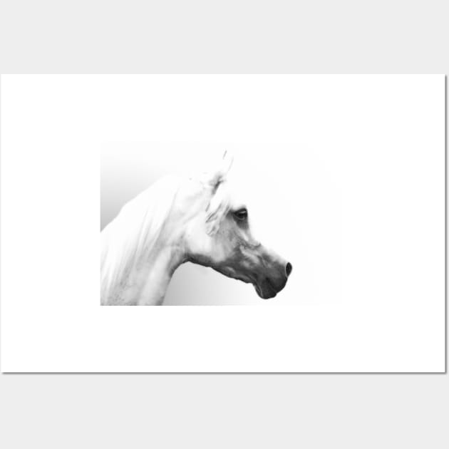 Arab Horse Portrait Wall Art by Furtographic